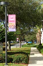 Feb. 15 marks the second time Mayo Clinic's Florida campus hosts the National Marathon to Fight Breast Cancer.